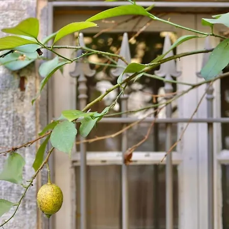 Private 2br/2ba House W Patio&terrace Vilă *