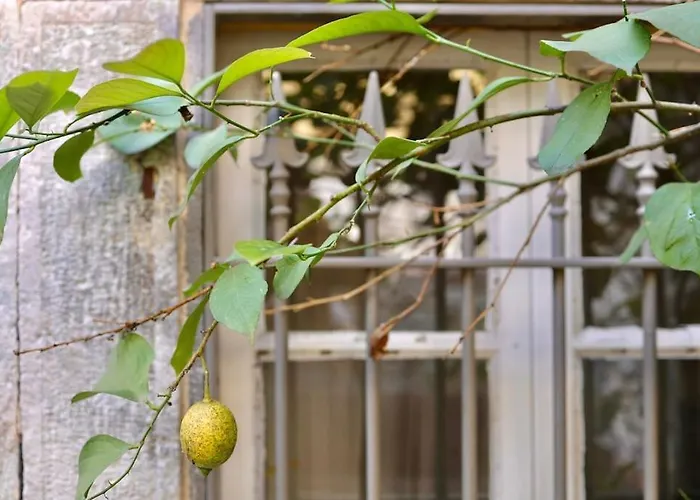 Private 2br/2ba House W Patio&terrace ヴィラ *